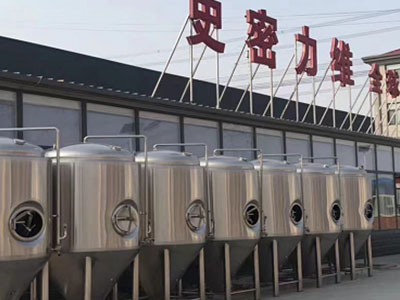百色精酿啤酒设备厂—如何判断精酿啤酒设备的密封件需要更换？